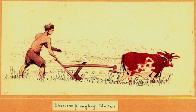 Chinese Ploughing