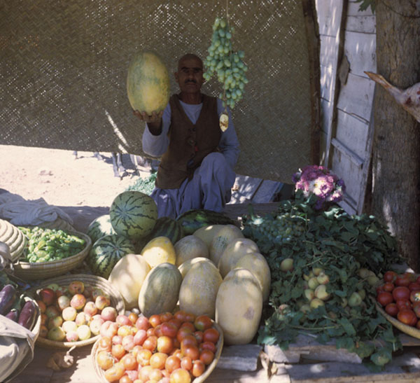 A retail seller (at least) of fresh fruits and vegetables