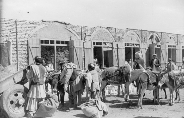 This warehouse setting in Qandahar highlights the impotant roles of donkeys and mules in the transportion and circulation of commodities in the market zone of our conern. The narrative of this text has privileged camels