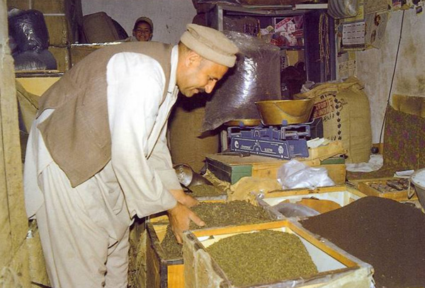 The tea trade between Central and South Asia in the late nineteenth century is addressed in Chapter 6. The tea trade remains a prominent and lucrative business in Kabul, Peshawar and Qandahar today