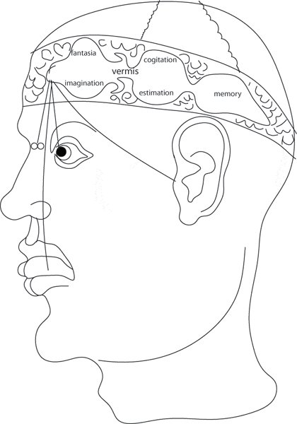 Diagram of human mind drawn by Amelia Amelia after Avicenna.