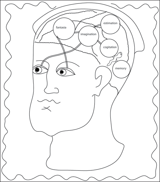 Diagram of human mind drawn by Amelia Amelia after Galen.