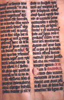 Constitution continued. Late thirteenth to early fourteenth century collection from Unterlinden. Ms. 302, f. 163r, Bibliotheque de la Ville, Colmar, France.