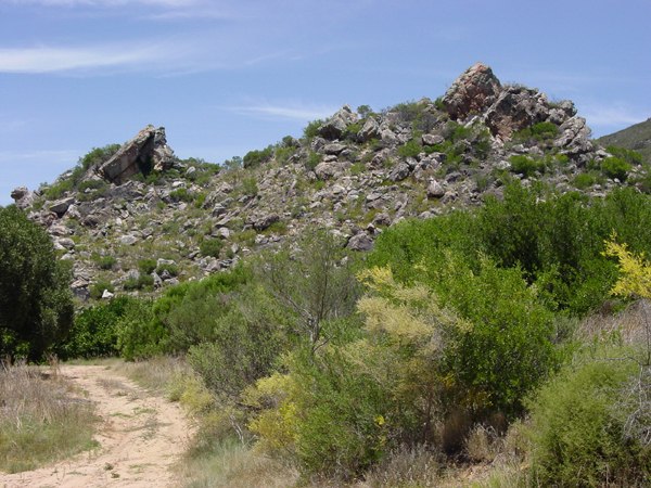 A range of vegetation grows in the semi-arid Cedarberg. This landscape is near the Modder Valleij loan farm claimed by Andries Lubbe, 1751–1785. [See map 7.4 and table 7.6.]