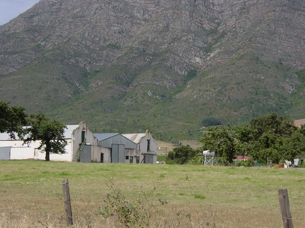 Showing evidence of possession and elements of identity, this twentieth-century building with Cape-Dutch style gables firmly locates this farm in a cultural landscape.