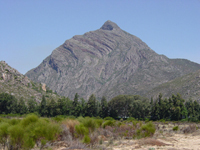 The Cape Fold Belt displays dramatic geologic formations. This mountain is near the Misgunt and Halve Dorschvloer loan farms claimed by Willem Burger and Schalk Willem Burger.
