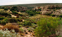 At elevation and with limited perennial water, landscapes such as this were used regularly by Khoisan, then subsequently claimed as loan farms by settlers and Khoisan or mixed-race individuals. In this region, Cornelis Koopman claimed Doornbosch in 1754 while the nearby Onrust was claimed by Barend Lubbe and then by his son Frans (1750–1791).