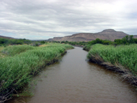 The dramatic landscape along the Doorn River was the site of the second wave of loan farm claims, including those of Frans Lubbe and his in-laws, the Mouton family.